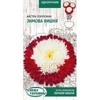 Астра помпонная ЗИМНЯЯ ВИШНЯ 0,25г (10 пачек) ТМ СЕМЕНА УКРАИНЫ