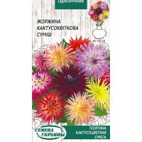 Жоржина кактусоцвітна суміш 0,2г (10пачок) ТМ НАСІННЯ УКРАЇНИ