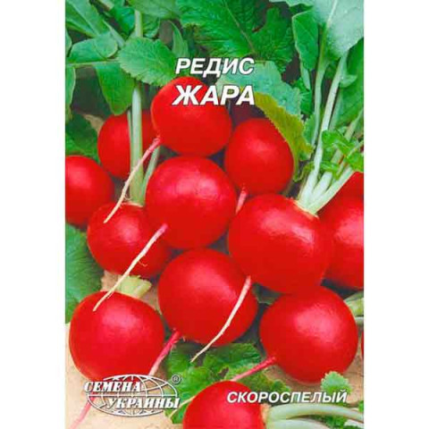Редис ЖАРА 20г Гігант (10 пачок) ТМ НАСІННЯ УКРАЇНИ